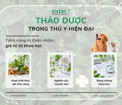 Xu hướng ứng dụng thảo dược trong thú y hiện đại: Tiềm năng lâm sàng, bằng chứng khoa học và tính an toàn trên chó, mèo