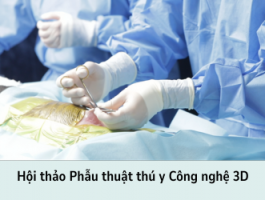 Công nghệ 3D trong phẫu thuật: Hướng tới tương lai ngành Thú y Việt Nam 