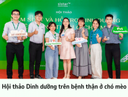 Dinh dưỡng trên bệnh thận: Chìa khóa nâng tầm sức khỏe thú cưng