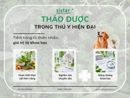 XU HƯỚNG ỨNG DỤNG THẢO DƯỢC TRONG THÚ Y HIỆN ĐẠI: TIỀM NĂNG LÂM SÀNG, BẰNG CHỨNG KHOA HỌC VÀ TÍNH AN TOÀN TRÊN CHÓ, MÈO