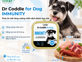 Dr Coddle for Dog IMMUNITY - Thức ăn ướt tăng cường miễn dịch dành cho chó