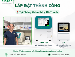 Sistar Vietnam hoàn thành lắp đặt Máy xét nghiệm sinh lý thú y DF56 Vet & Máy xét nghiệm sinh hóa tự động thú y CV5