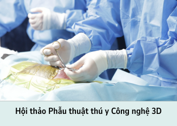 Công nghệ 3D trong phẫu thuật: Hướng tới tương lai ngành Thú y Việt Nam 