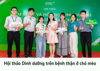 Dinh dưỡng trên bệnh thận: Chìa khóa nâng tầm sức khỏe thú cưng