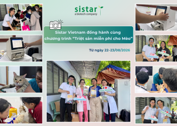Sistar Vietnam đồng hành cùng chương trình "Triệt sản miễn phí cho mèo"