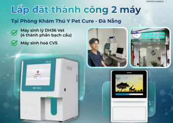 SISTAR VIETNAM LẮP ĐẶT MÁY DH36 VET & CV5 - TẠI PET CURE ĐÀ NẴNG