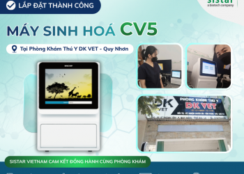 SISTAR VIETNAM HOÀN THÀNH LẮP ĐẶT MÁY CV5 - TẠI DK VET QUY NHƠN