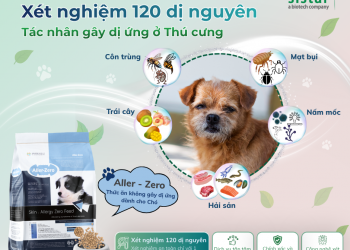 SISTAR VIETNAM – NHÀ TÀI TRỢ VÀNG ĐỒNG HÀNH CÙNG HỘI NGHỊ THƯỜNG NIÊN CHI HỘI THÚ Y THÚ NHỎ VIỆT NAM LẦN THỨ 3 & HỘI NGHỊ KHOA HỌC HỘI DA LIỄU THÚ Y CHÂU Á LẦN THỨ 8