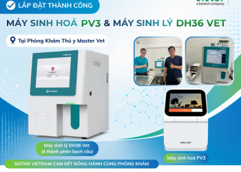 Master Vet lắp đặt thành công máy sinh hoá PV3 và máy huyết học DH36 Vet