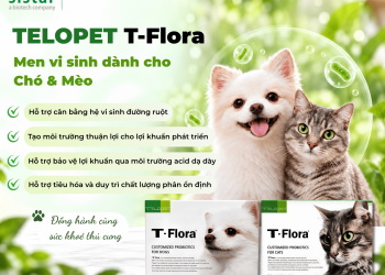 TELOPET T-Flora – Men vi sinh dành cho chó mèo