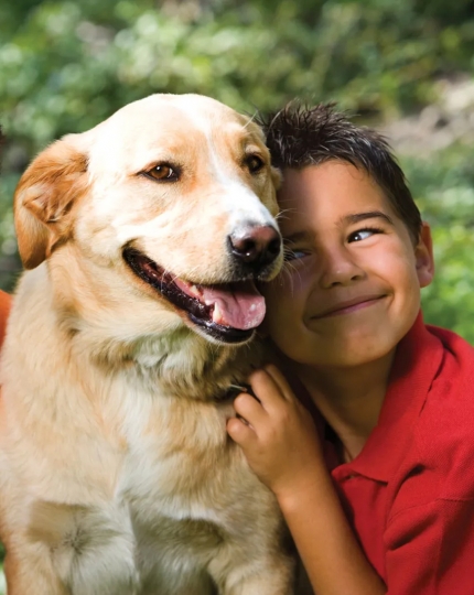 Cung cấp giải pháp sức khỏe tối ưu