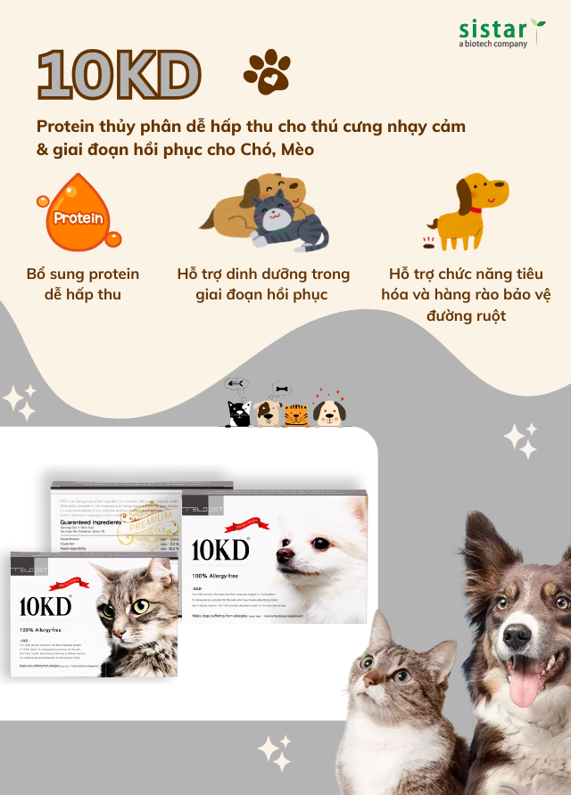 Protein thủy phân dễ hấp thu cho chó