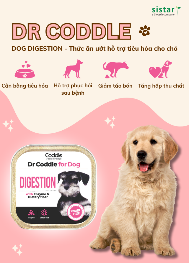 Dr Coddle for Dog Digestion – Thức ăn ướt hỗ trợ tiêu hóa cho chó