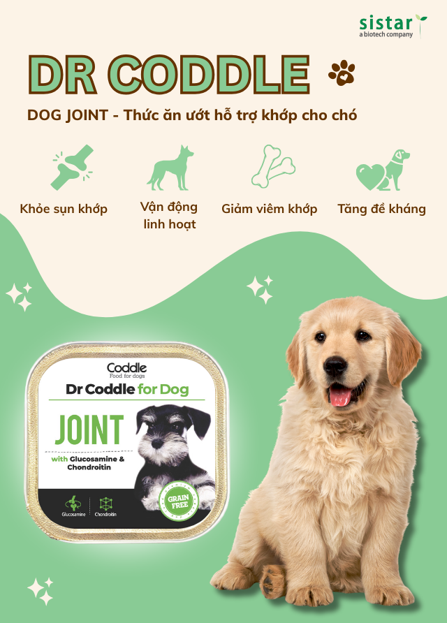 Dr Coddle for Dog Joint – Thức ăn ướt hỗ trợ khớp cho chó