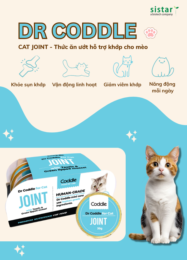 Dr Coddle for Cat Joint – Thức ăn ướt hỗ trợ khớp cho mèo