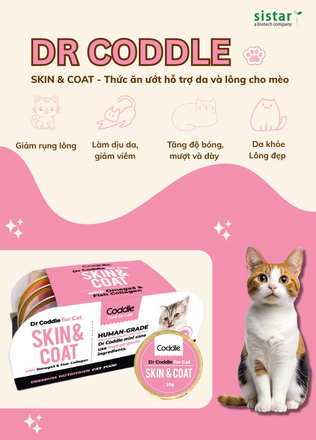 Dr Coddle for Cat Skin & Coat – Thức ăn ướt hỗ trợ da & lông cho mèo