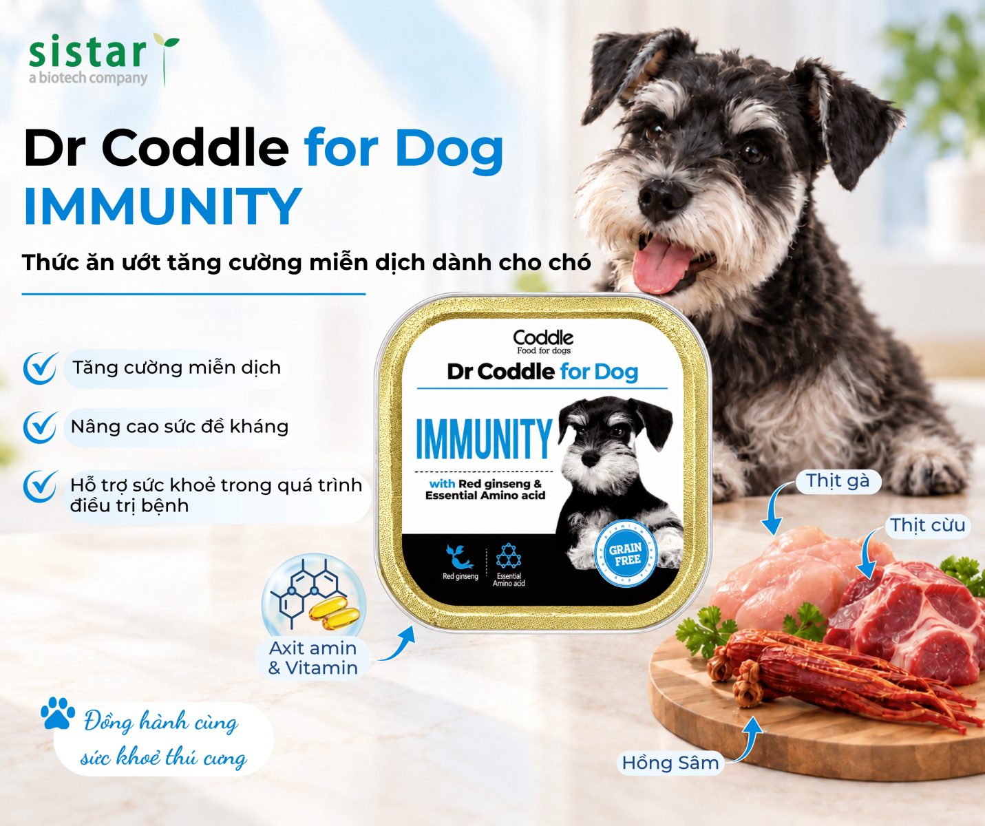 Dr Coddle for Dog IMMUNITY - Thức ăn ướt tăng cường miễn dịch dành cho chó