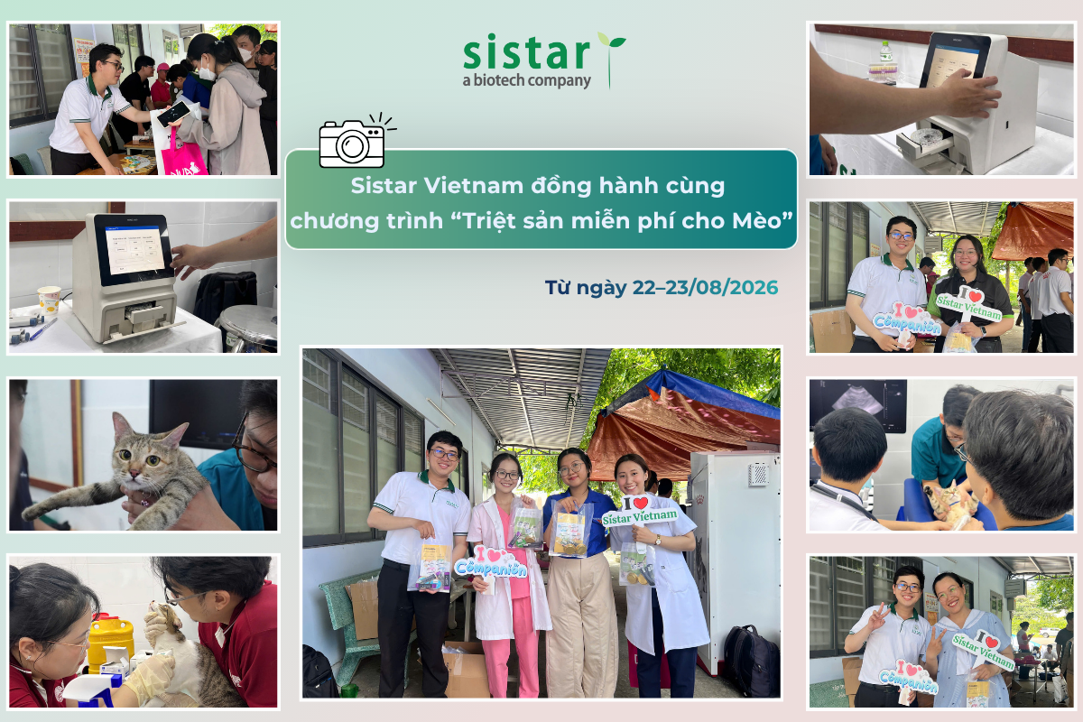 Sistar Vietnam đồng hành cùng chương trình "Triệt sản miễn phí cho mèo"