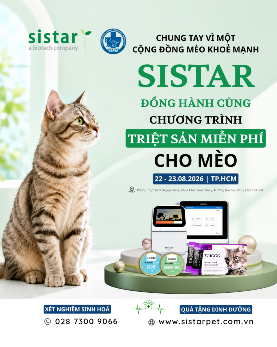 Sistar Vietnam đồng hành cùng chương trình triệt sản miễn phí cho mèo