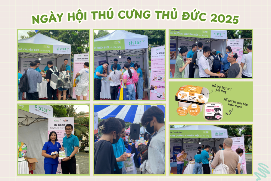 Hoạt động trải nghiệm – Tư vấn – Quà tặng hấp dẫn tại gian hàng Sistar Vietnam