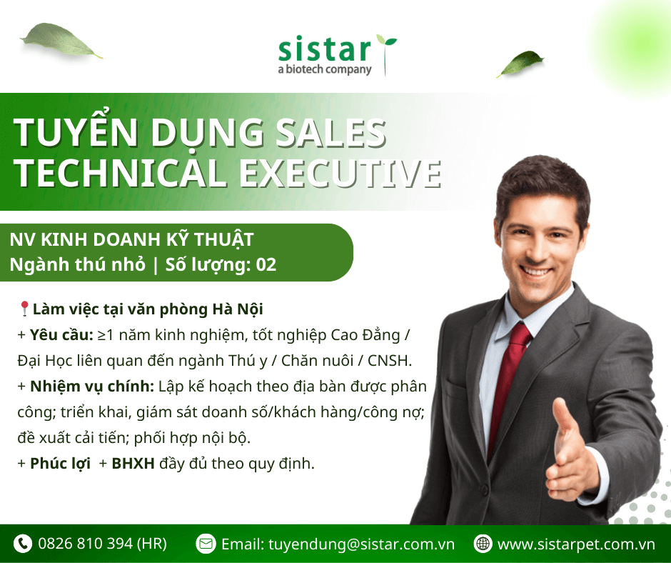 sistar-vietnam-tuyen-sales-technical-executive-thu-nho-hn-hcm