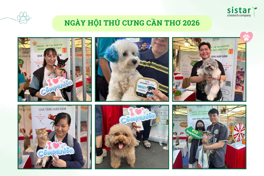Sistar Vietnam đồng hành cùng Ngày hội thú cưng TP. Cần Thơ 2026