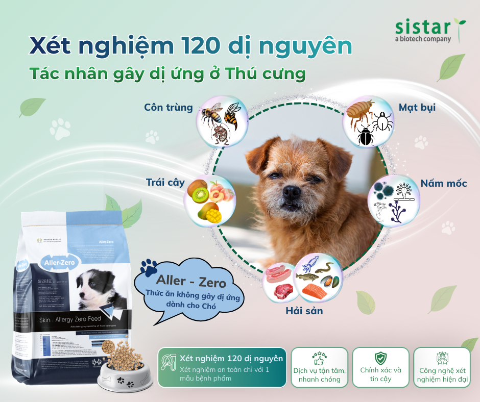 SISTAR VIETNAM – NHÀ TÀI TRỢ VÀNG ĐỒNG HÀNH CÙNG HỘI NGHỊ THƯỜNG NIÊN CHI HỘI THÚ Y THÚ NHỎ VIỆT NAM LẦN THỨ 3 & HỘI NGHỊ KHOA HỌC HỘI DA LIỄU THÚ Y CHÂU Á LẦN THỨ 8